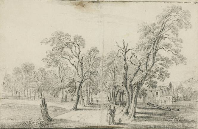 Avenue in a Park