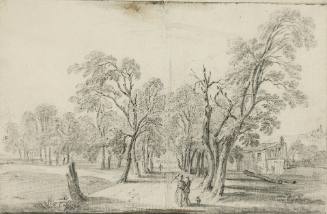 Avenue in a Park