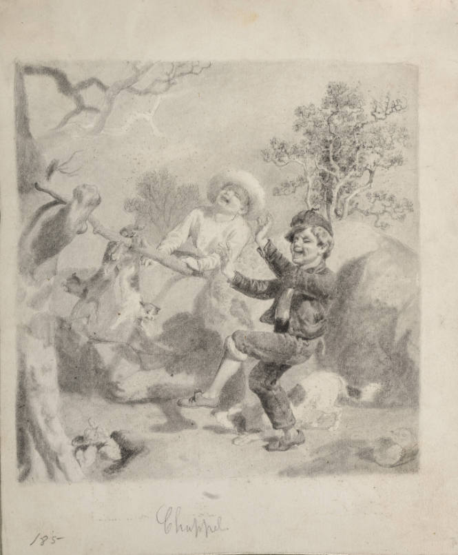 Two boys torturing some cats
