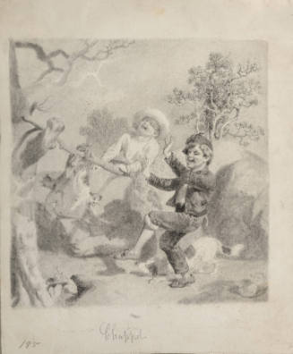 Two boys torturing some cats