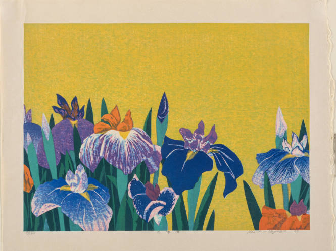 Irises