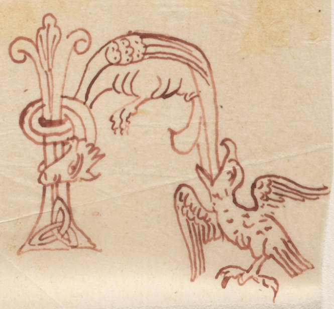 Copy of Alphabet - from ancient Ms. Salisbury, Gothic