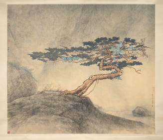 Spring Tree with Ivy