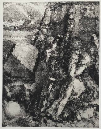 After Dürer
