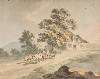 Man with Cows