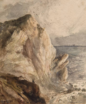Cliff by the Sea