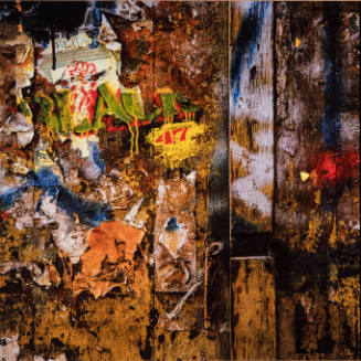 115 Mercer Street, Manhattan, October 9, 1993 from Urban Wilderness: Chaos Transformed