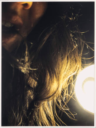 April 11, from 365 Days: A Catalogue of Tears
