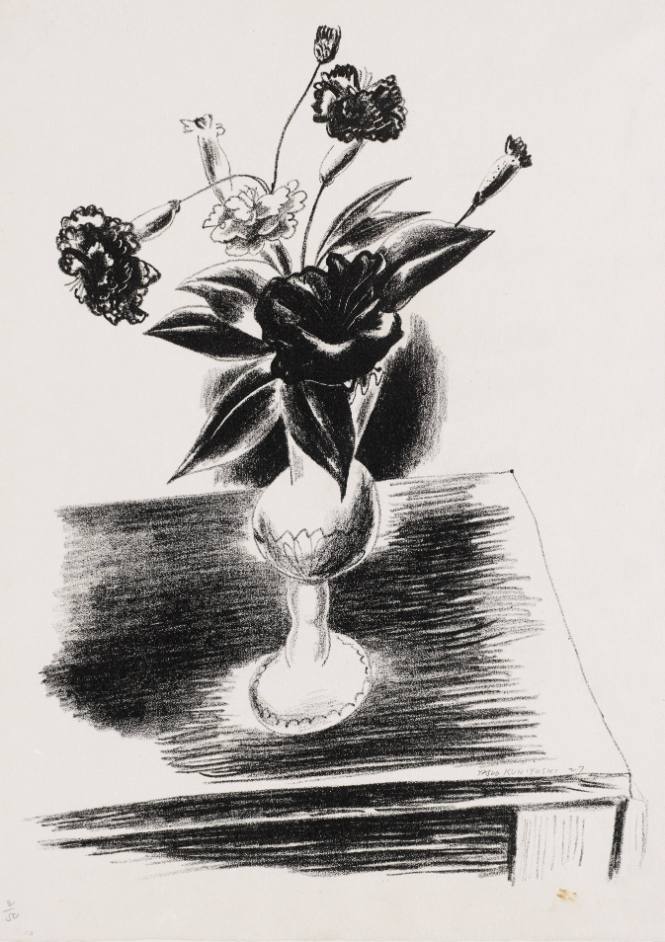 Carnations