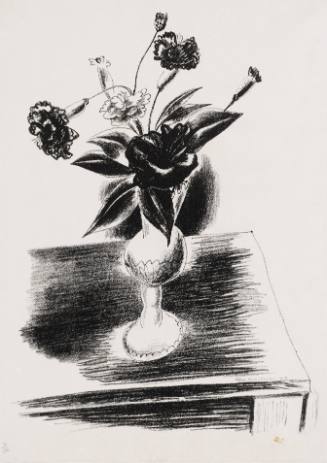 Carnations