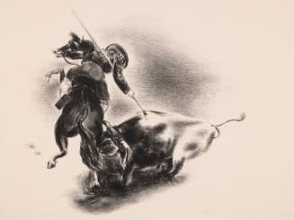 Bullfight