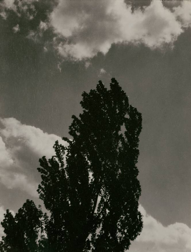 K.N.R., No. 3 Lake George
