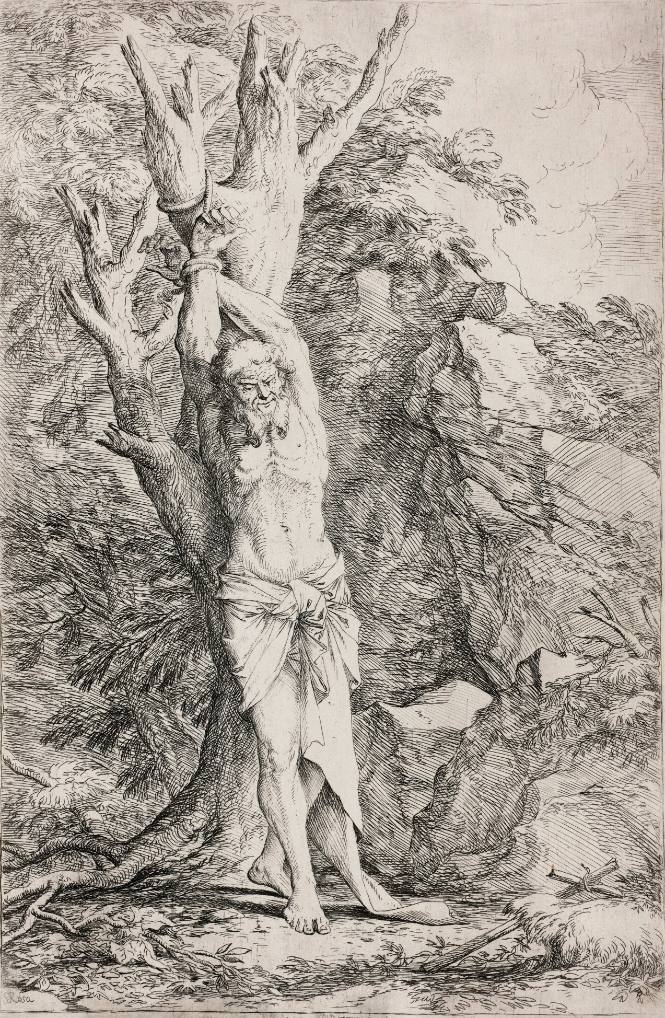 Saint Albert Companion of St. William