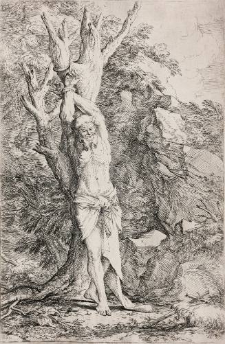 Saint Albert Companion of St. William