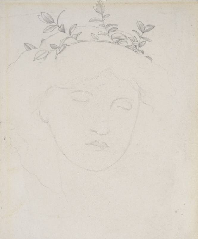 Head