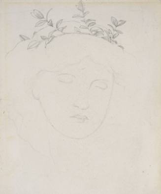 Head