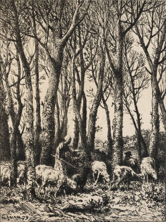 Shepherdess