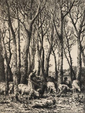 Shepherdess