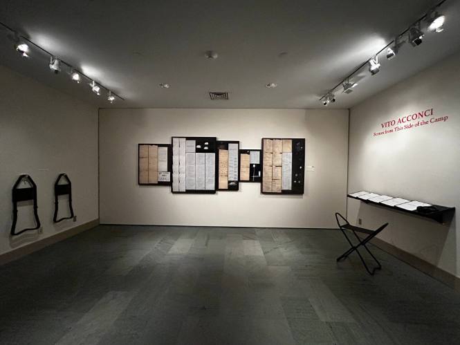 Vito Acconci: Scenes from This Side of the Camp