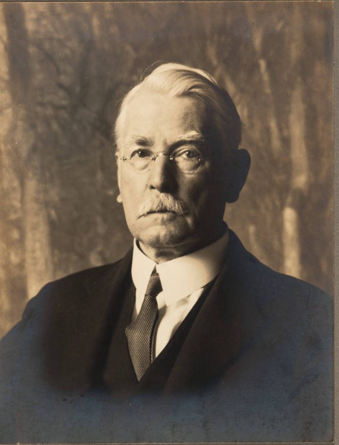 Henry B. Snell  (Woodstock & New Hope Album)