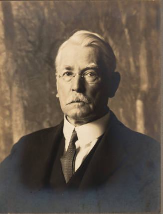 Henry B. Snell  (Woodstock & New Hope Album)