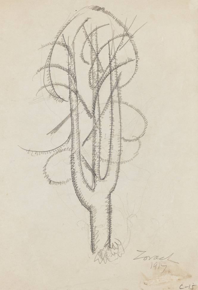 William Zorach