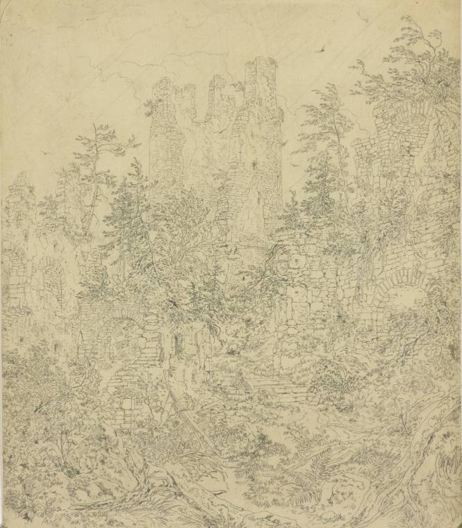 Ruined Courtyard of Höhenfreiberg