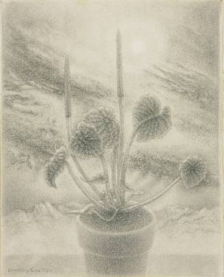 Small Plant, Great Sky