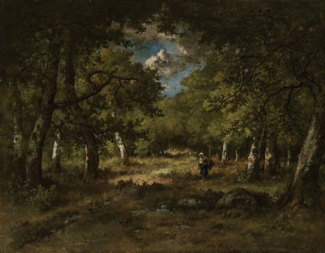Forest Interior