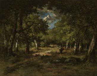 Forest Interior