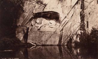 No. 48 Lion de Lucern