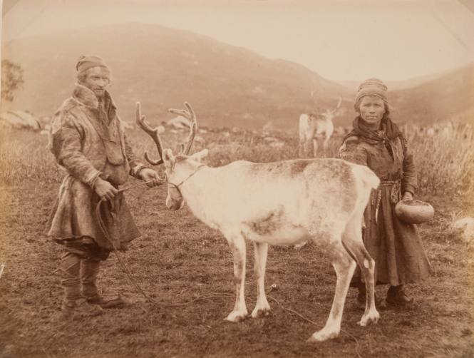 Untitled (Laplander with deer)