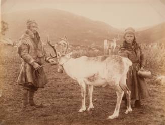 Untitled (Laplander with deer)