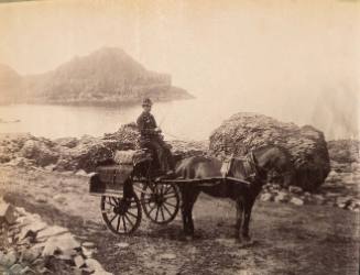 Untitled (Man in horse and buggy)
