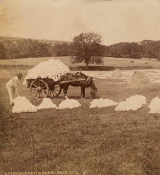Linen Beach Green