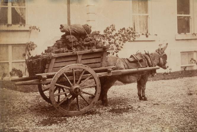 Turf Cart, Killarney