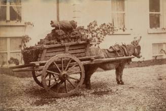 Turf Cart, Killarney