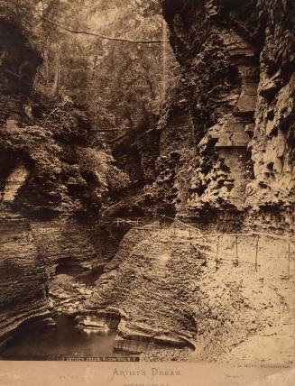 Artist's Dream, Watkin's Glen, NY