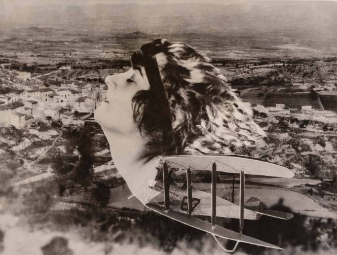 Desire for Flight