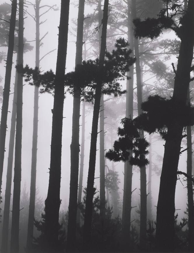 Brett Weston