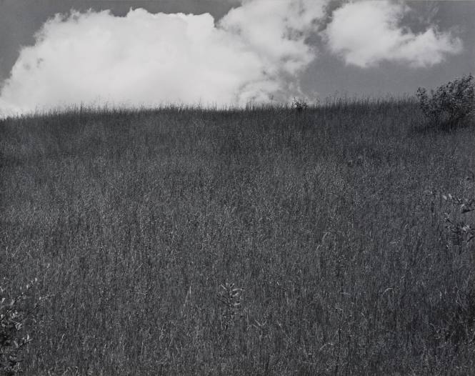 Landscape, Kalamazoo, Michigan