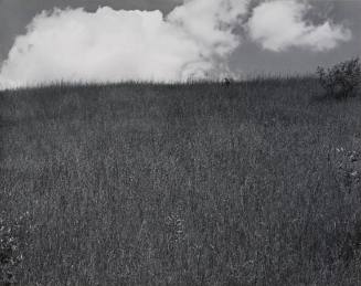 Landscape, Kalamazoo, Michigan