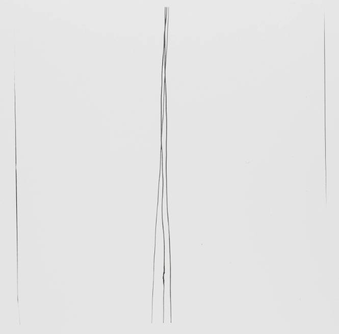 Telephone Wires