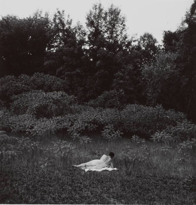 Harry Callahan