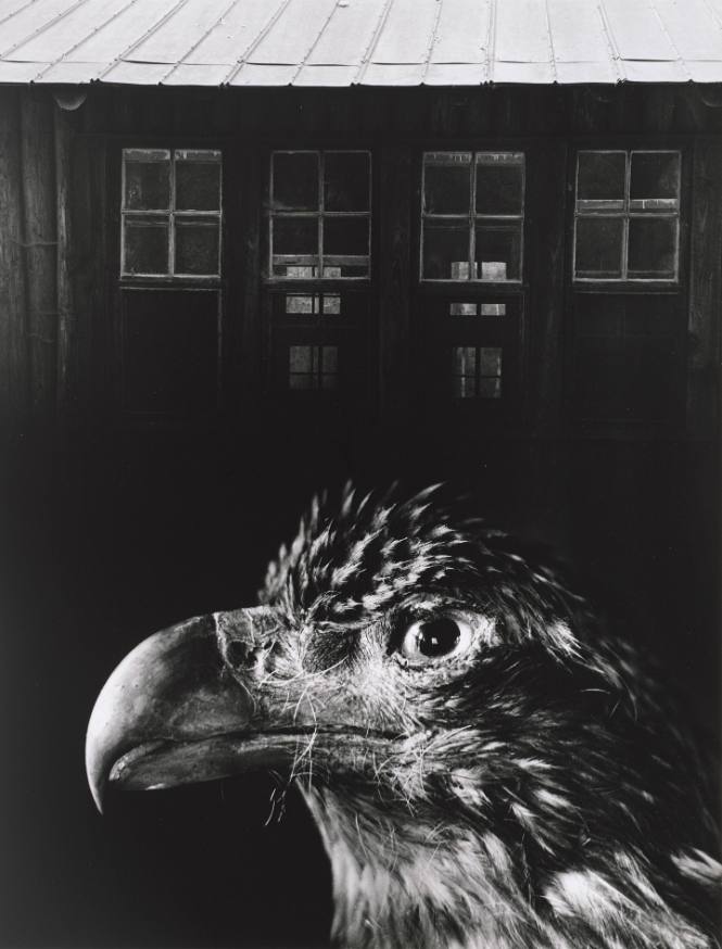 Jerry Uelsmann