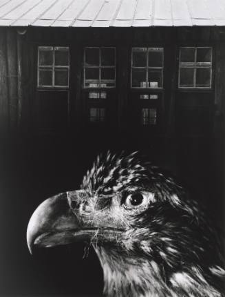 Jerry Uelsmann