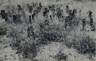 100 Boots in the Wild Mustard (100 Boots Go East)