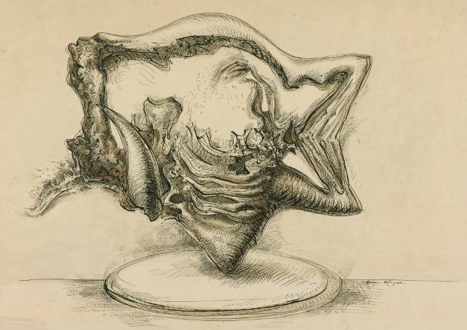 Study of Sea Quarry