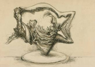 Study of Sea Quarry