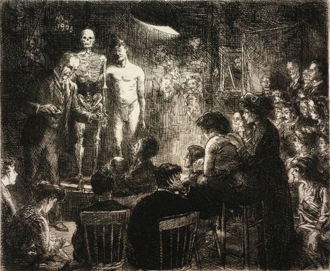 Art, Science, & Technology at the Frances Lehman Loeb Art Center: Anatomy